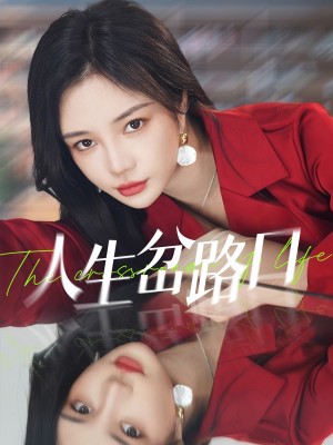 人生岔路口（30集）
