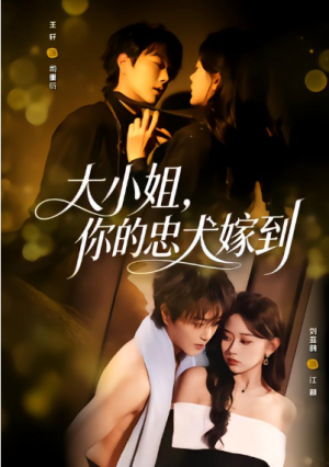 大小姐你的忠犬嫁到（80集）