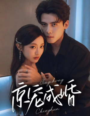 京宠成婚（79集）