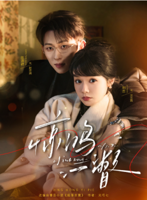 惊鸿一瞥（72集）