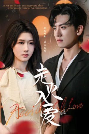 走火入爱（62集）