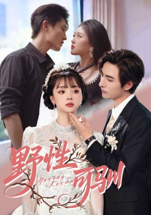 野性可驯（63集）