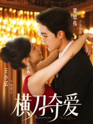 横刀夺爱（82集）