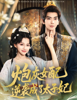 炮灰女配逆袭成了太子妃（82集）