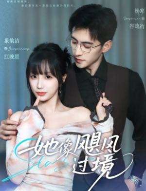 她像飓风过境（81集）