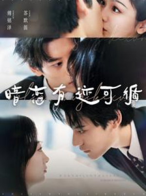 暗恋有迹可循（101集）