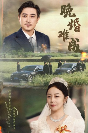 晚婚难成（60集）