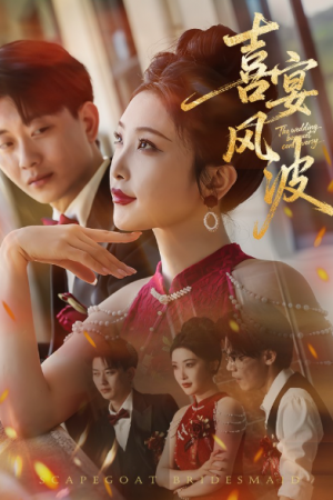 喜宴风波&替罪伴娘（30集）