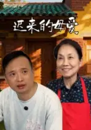 迟来的母爱（42集）