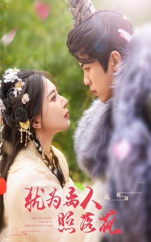 犹为离人照落花（60集）