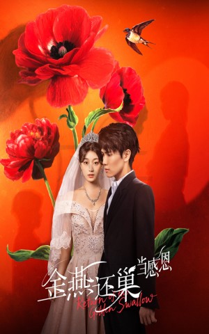 金燕还巢当感恩（55集）