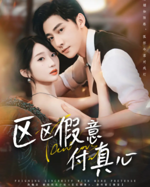 区区假意付真心（80集）