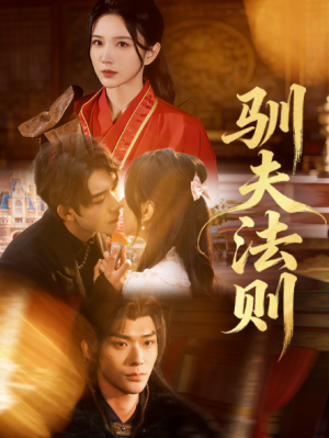 驯夫法则（69集）