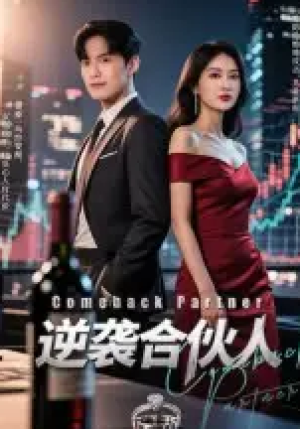 逆袭合伙人(31集）