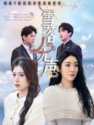 雪落无声（50集）