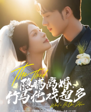 隐瞒离婚，竹马他戏超多&隐瞒离婚竹马他戏超多（63集）