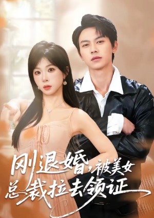刚退婚被美女总裁拉去领证（81集）