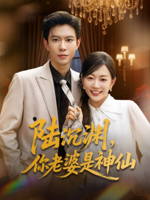 陆沉渊你老婆是神仙（94集）