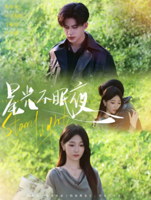 星光不眠夜（79集）