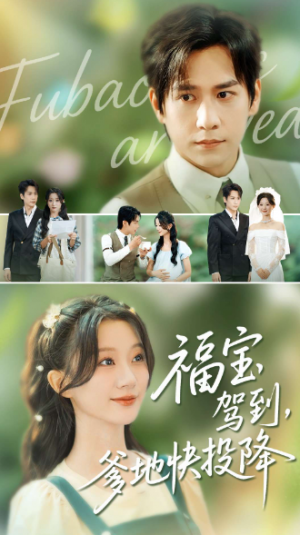 福宝驾到，爹地快投降（100集）