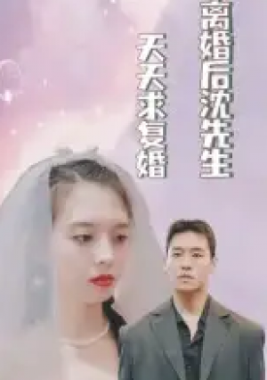 离婚后沈先生天天求复婚（100集）