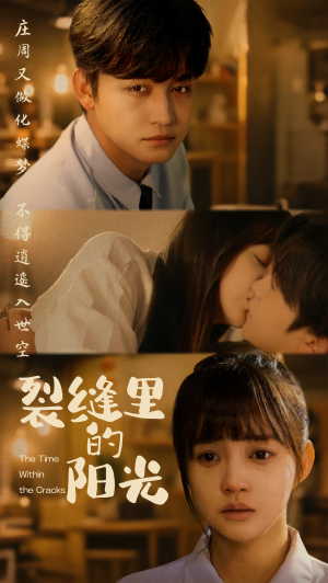 裂缝里的阳光（75集）