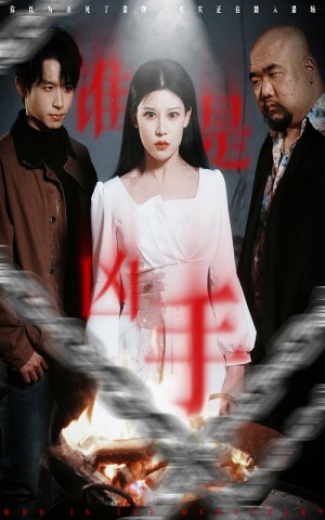 谁是凶手（31集）