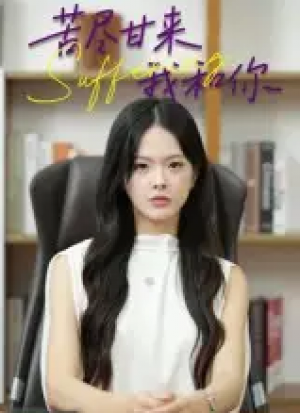 ﻿苦尽甘来我和你（21集）