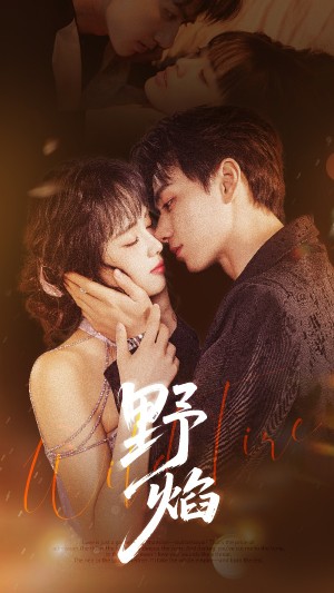 野焰 未删减版（60集）