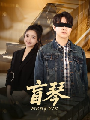 盲琴（42集）