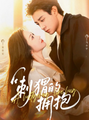 刺猬的拥抱（71集）
