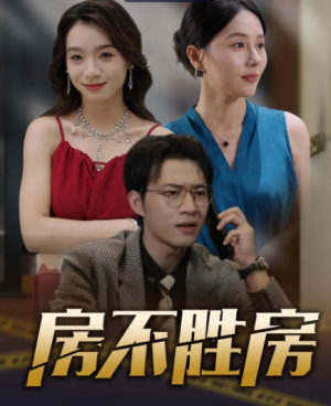 房不胜房（31集）