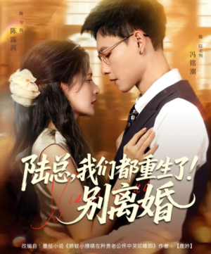 陆总我们都重生了！别离婚&陆总我们都重生了别离婚（79集）