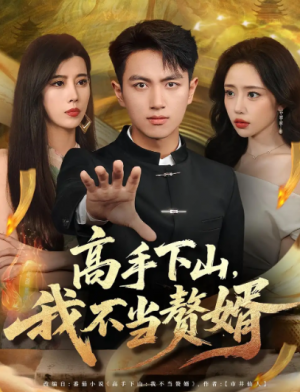 ﻿高手下山我不当赘婿（66集）
