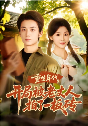 重生年代开局被老丈人拍了一板砖（82集）