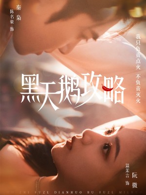 黑天鹅攻略（65集）