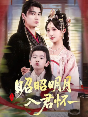 昭昭明月入君怀（80集）