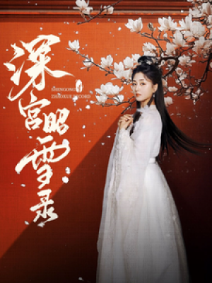 深宫昭雪录（52集）