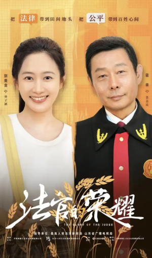 法官的荣耀（5集全）