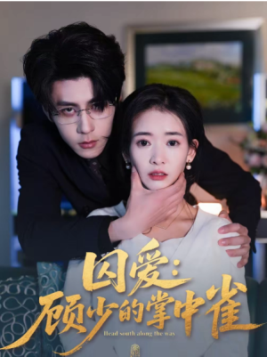 囚爱顾少的掌中雀（70集）