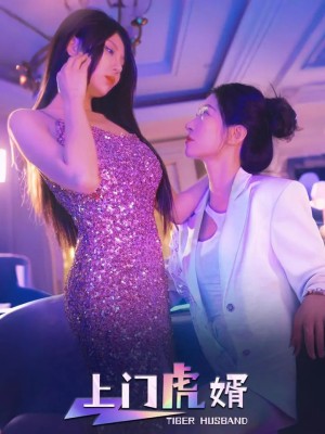 上门虎婿（96集）