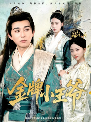 金牌小王爷（80集）