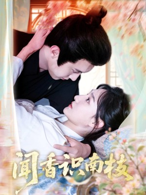闻香识南枝（60集）