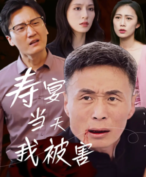 寿宴当天我被害（30集）