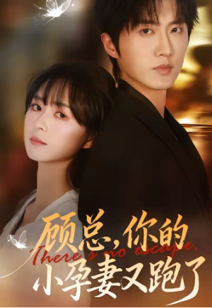顾总你的小孕妻又跑了（47集）