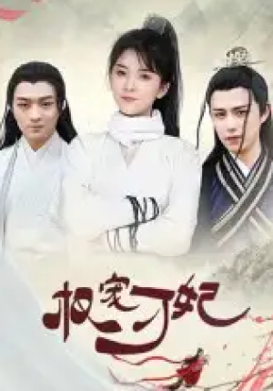 权宠刁妃（17集）