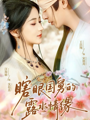 瞎眼国舅的露水情缘（64集）