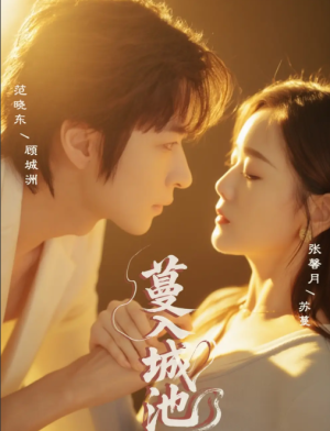 蔓入城池（58集）