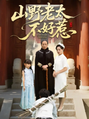 山野老太不好惹＆奶奶一脚震全城（64集）