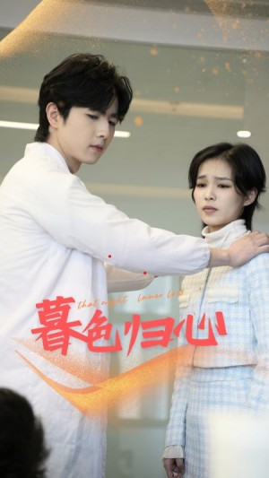 暮色归心（50集）